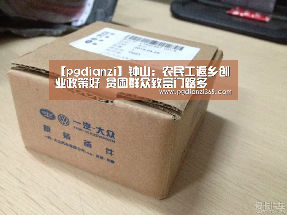 【pgdianzi】钟山:农民工返乡创业政策好 贫困群众致富门路多(图1) pg电子平台入口