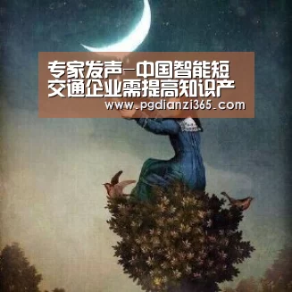 pg电子平台入口官网