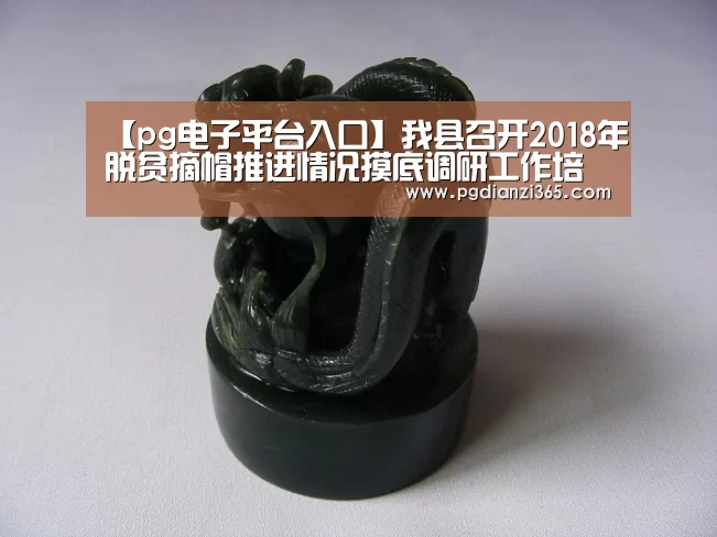 【pg电子平台入口】我县召开2018年脱贫摘帽推进情况摸底调研工作培训会(图2) pg电子平台入口