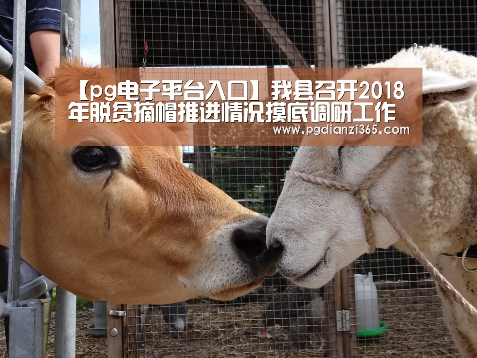 【pg电子平台入口】我县召开2018年脱贫摘帽推进情况摸底调研工作培训会(图1) pg电子平台入口官网
