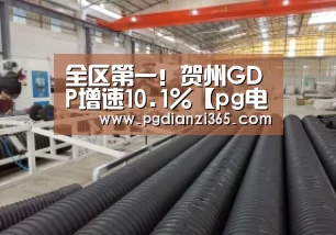 全区第一!贺州GDP增速10.1%【pg电子试玩】(图3) pg电子试玩