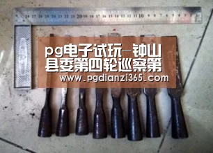 pg电子试玩-钟山县委第四轮巡察第一巡察组 向钟山县食品药品监督管理局反馈巡察情况(图1) pg电子平台入口