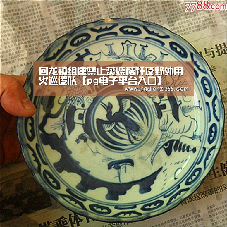 回龙镇组建禁止焚烧秸秆及野外用火巡逻队【pg电子平台入口】(图1) pg电子平台入口