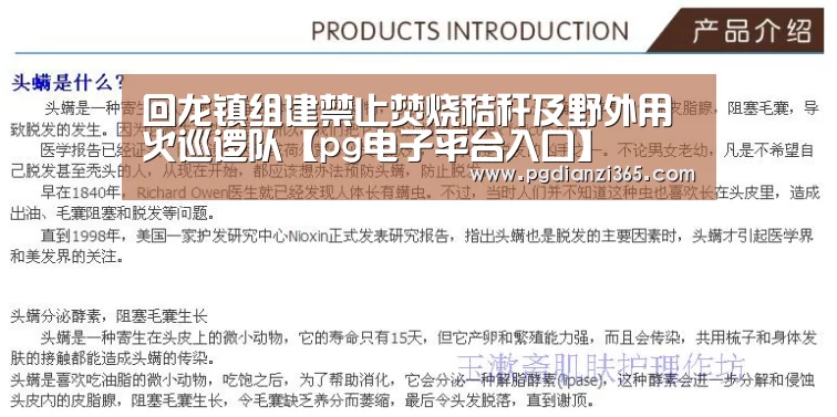 回龙镇组建禁止焚烧秸秆及野外用火巡逻队【pg电子平台入口】(图2) pg电子平台入口官网